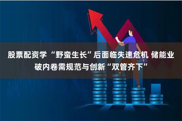 股票配资学 “野蛮生长”后面临失速危机 储能业破内卷需规范与创新“双管齐下”