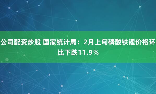 公司配资炒股 国家统计局：2月上旬磷酸铁锂价格环比下跌11.9％